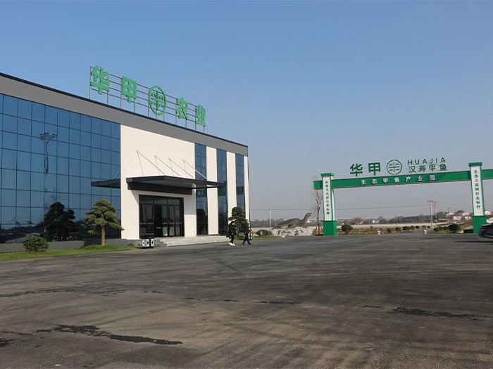 尊龙凯时人生就是搏农业集团：科技创新推动甲鱼产业升级