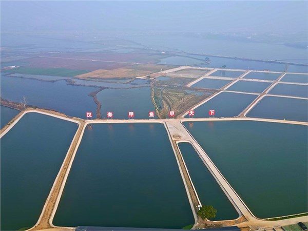 尊龙凯时人生就是搏农业集团：绿色发展助力乡村振兴