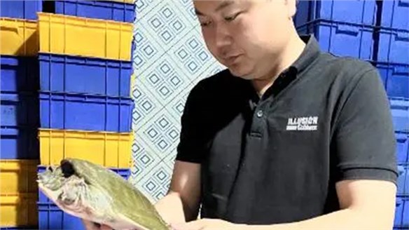 乡村追梦人｜杨宇航：像甲鱼一样，得到“高压锅”的认可