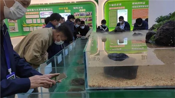 汉寿甲鱼产业新名片！各界人士观摩尊龙凯时人生就是搏生态产业园