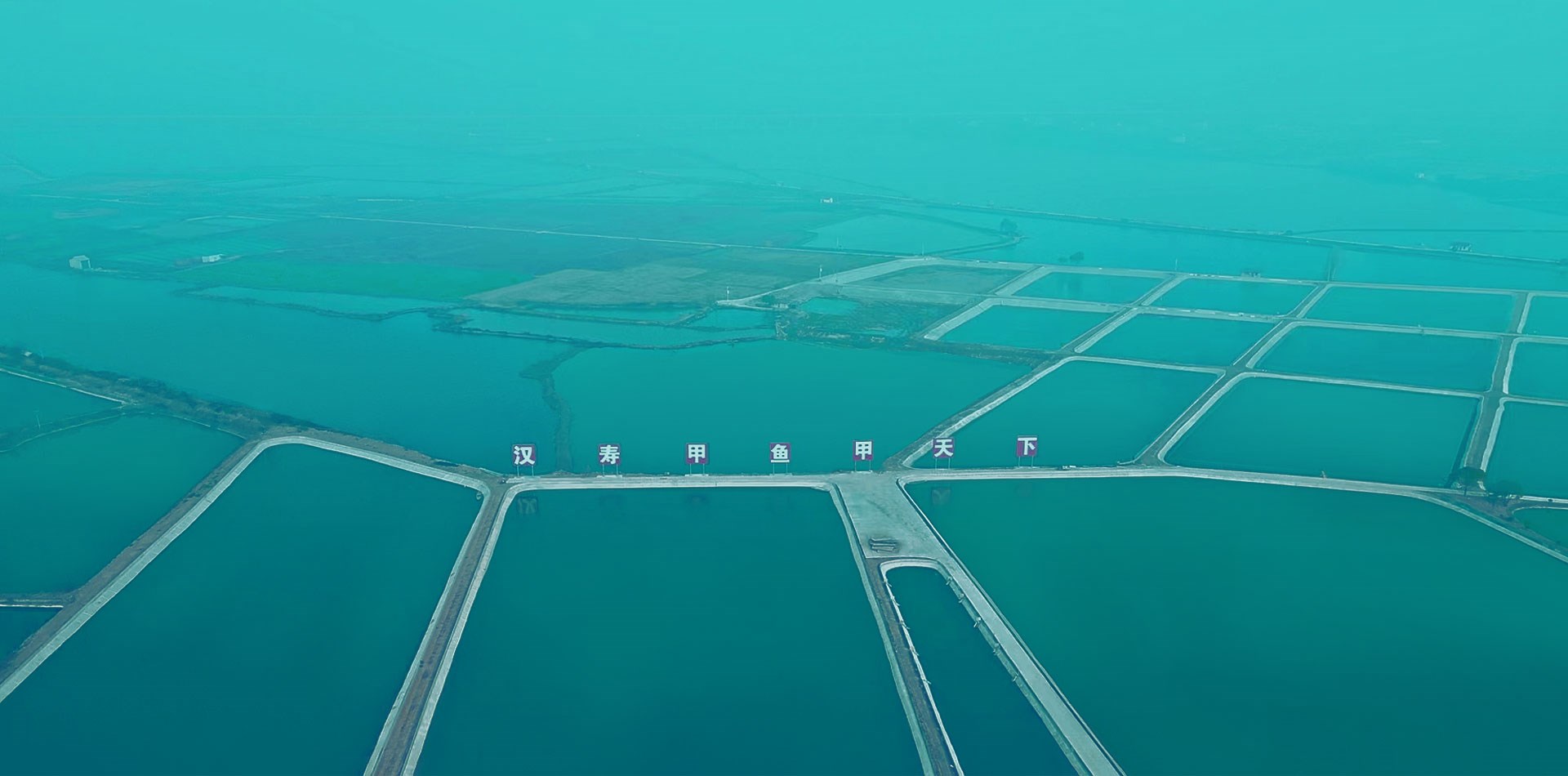 尊龙凯时人生就是搏农业